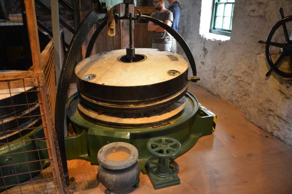 DSC_5856Mittel_.JPG